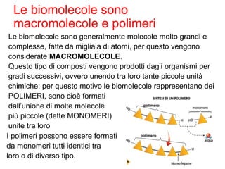 Le biomolecole sono
  macromolecole e polimeri
 Le biomolecole sono generalmente molecole molto grandi e
 complesse, fatte da migliaia di atomi, per questo vengono
 considerate MACROMOLECOLE.
 Questo tipo di composti vengono prodotti dagli organismi per
 gradi successivi, ovvero unendo tra loro tante piccole unità
 chimiche; per questo motivo le biomolecole rappresentano dei
 POLIMERI, sono cioè formati
 dall’unione di molte molecole             polimero


 più piccole (dette MONOMERI)
 unite tra loro
I polimeri possono essere formati         polimero


da monomeri tutti identici tra
loro o di diverso tipo.
 