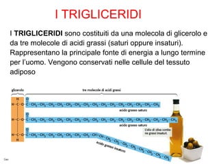 I TRIGLICERIDI
     I TRIGLICERIDI sono costituiti da una molecola di glicerolo e
     da tre molecole di acidi grassi (saturi oppure insaturi).
     Rappresentano la principale fonte di energia a lungo termine
     per l’uomo. Vengono conservati nelle cellule del tessuto
     adiposo




Cavazzuti Biologia © Zanichelli editore 2011
 