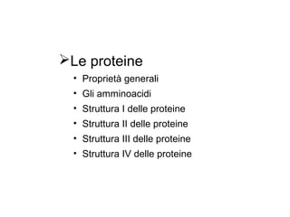 Le proteine
  • Proprietà generali
  • Gli amminoacidi
  • Struttura I delle proteine
  • Struttura II delle proteine
  • Struttura III delle proteine
  • Struttura IV delle proteine
 