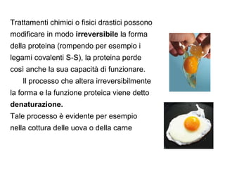 Trattamenti chimici o fisici drastici possono
modificare in modo irreversibile la forma
della proteina (rompendo per esempio i
legami covalenti S-S), la proteina perde
così anche la sua capacità di funzionare.
   Il processo che altera irreversibilmente
la forma e la funzione proteica viene detto
denaturazione.
Tale processo è evidente per esempio
nella cottura delle uova o della carne
 