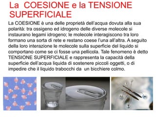 La COESIONE e la TENSIONE
SUPERFICIALE
La COESIONE è una delle proprietà dell’acqua dovuta alla sua
polarità: tra ossigeno ed idrogeno delle diverse molecole si
instaurano legami idrogeno; le molecole interagiscono tra loro
formano una sorta di rete e restano coese l’una all’altra. A seguito
della loro interazione le molecole sulla superficie del liquido si
comportano come se ci fosse una pellicola. Tale fenomeno è detto
TENSIONE SUPERFICIALE e rappresenta la capacità della
superficie dell’acqua liquida di sostenere piccoli oggetti, o di
impedire che il liquido trabocchi da un bicchiere colmo.
 