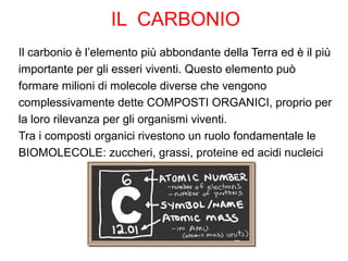 IL CARBONIO
Il carbonio è l’elemento più abbondante della Terra ed è il più
importante per gli esseri viventi. Questo elemento può
formare milioni di molecole diverse che vengono
complessivamente dette COMPOSTI ORGANICI, proprio per
la loro rilevanza per gli organismi viventi.
Tra i composti organici rivestono un ruolo fondamentale le
BIOMOLECOLE: zuccheri, grassi, proteine ed acidi nucleici
 