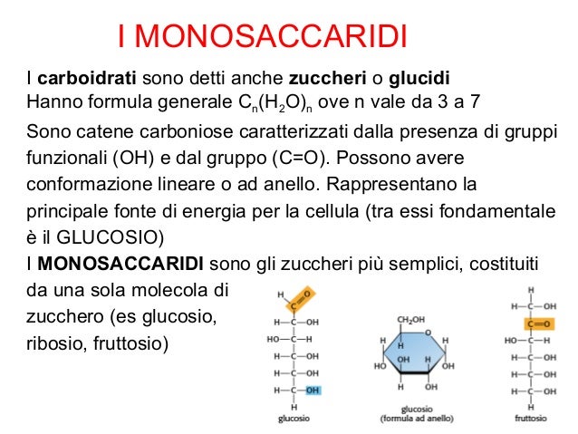 Cosa Sono I Carboidrati Biologia