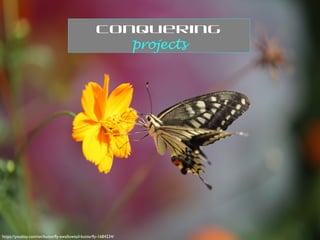 https://pixabay.com/en/butterfly-swallowtail-butterfly-1684234/
Conquering
projects
 
