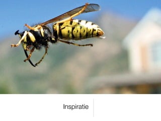 Scherptediepte (TV format)