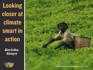 Climate Smart Agricultural Landscapes | PDF