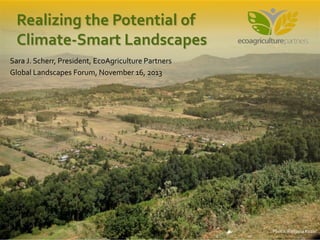 Realizing the Potential of
Climate-Smart Landscapes
Sara J. Scherr, President, EcoAgriculture Partners
Global Landscapes Forum, November 16, 2013

Photo: Raffaela Kozar

 