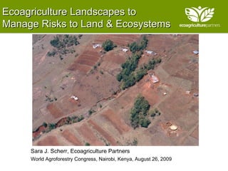 Ecoagriculture Landscapes to  Manage Risks to Land & Ecosystems  Sara J. Scherr, Ecoagriculture Partners World Agroforestry Congress, Nairobi, Kenya, August 26, 2009 