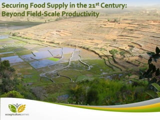 Securing Food Supply in the 21st Century:
Beyond Field-Scale Productivity
 