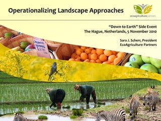“Down to Earth” Side Event
The Hague, Netherlands, 5 November 2010
Sara J. Scherr, President
EcoAgriculture Partners
Operationalizing Landscape Approaches
 