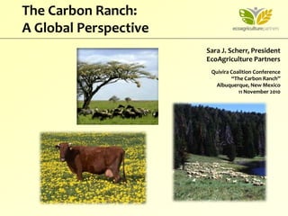 Sara J. Scherr, President
EcoAgriculture Partners
Quivira Coalition Conference
“The Carbon Ranch”
Albuquerque, New Mexico
11 November 2010
The Carbon Ranch:
A Global Perspective
 