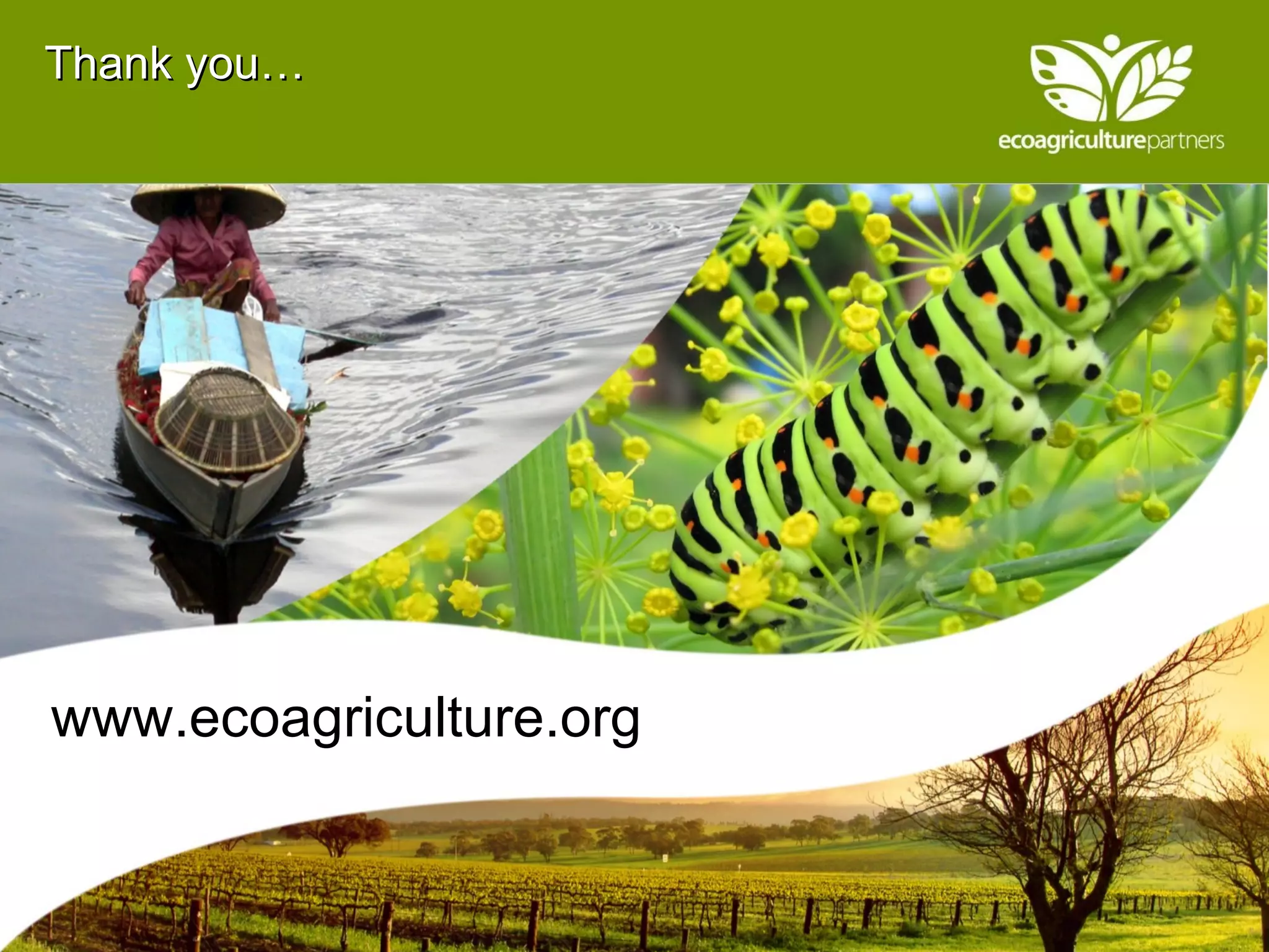 Thank you… www.ecoagriculture.org 