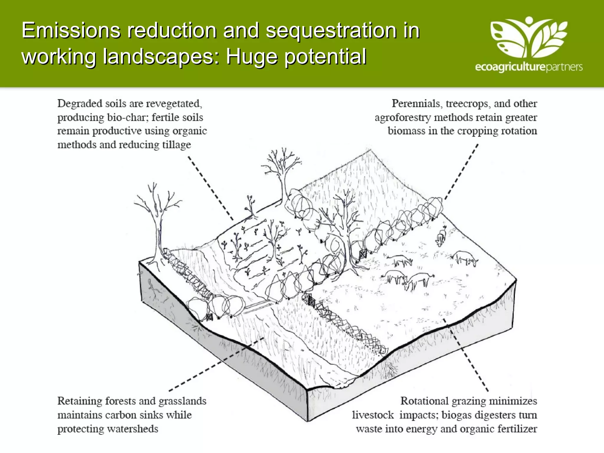 Emissions reduction and sequestration in working landscapes: Huge potential 