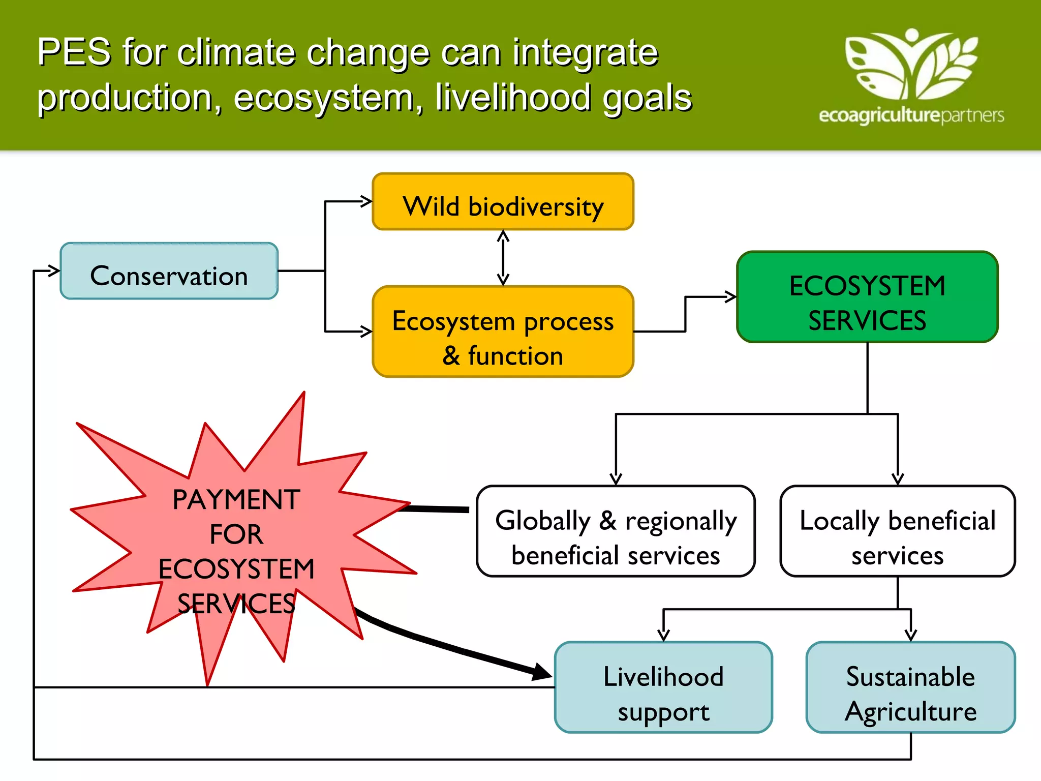 PES for climate change can integrate production, ecosystem, livelihood goals Conservation Ecosystem process & function Wild biodiversity ECOSYSTEM SERVICES Locally beneficial services Globally & regionally beneficial services Sustainable Agriculture Livelihood support PAYMENT FOR ECOSYSTEM SERVICES 