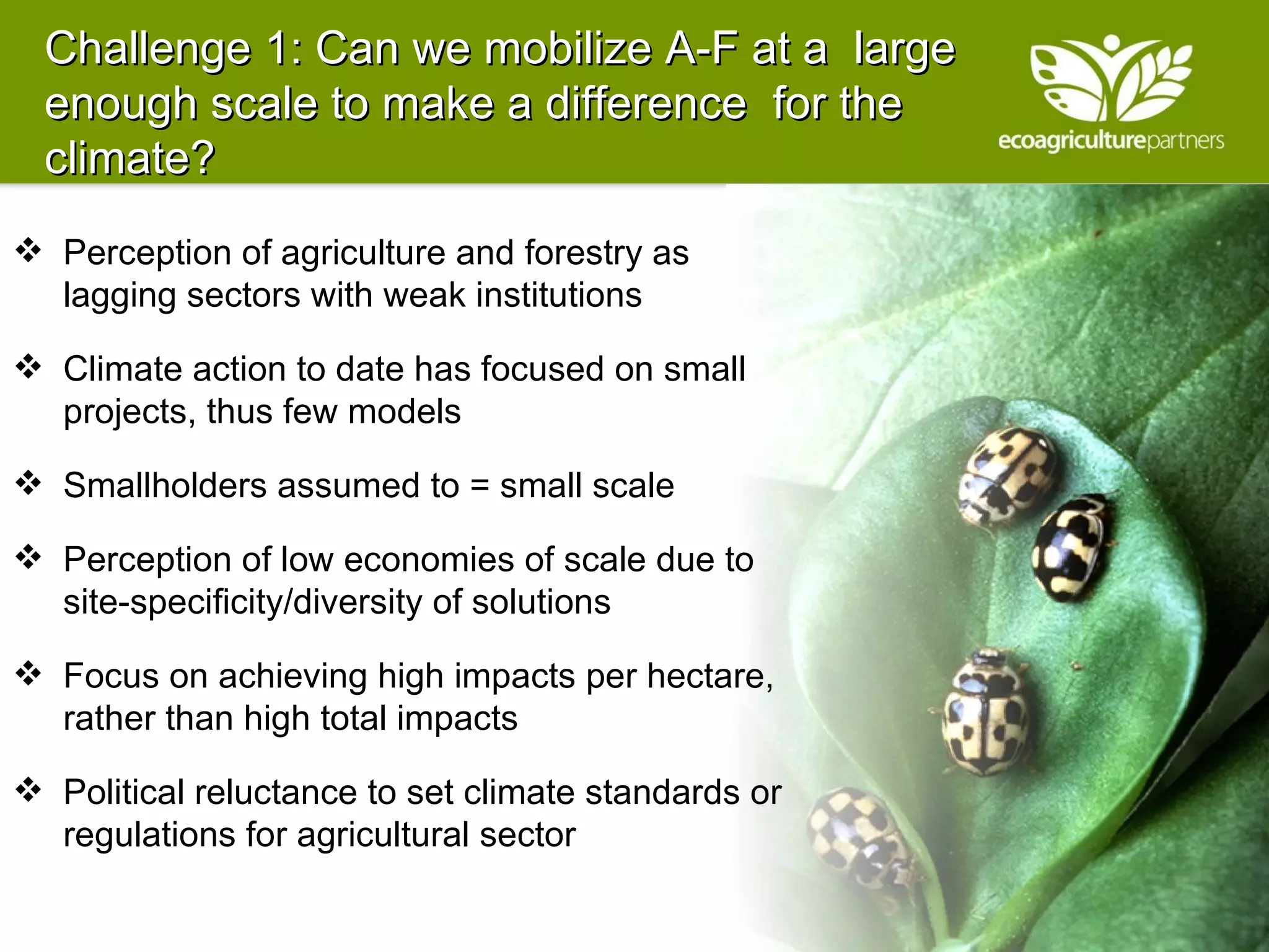 Challenge 1: Can we mobilize A-F at a  large enough scale to make a difference  for the climate?  Perception of agriculture and forestry as  lagging sectors with weak institutions Climate action to date has focused on small projects, thus few models Smallholders assumed to = small scale Perception of low economies of scale due to site-specificity/diversity of solutions Focus on achieving high impacts per hectare, rather than high total impacts Political reluctance to set climate standards or regulations for agricultural sector 