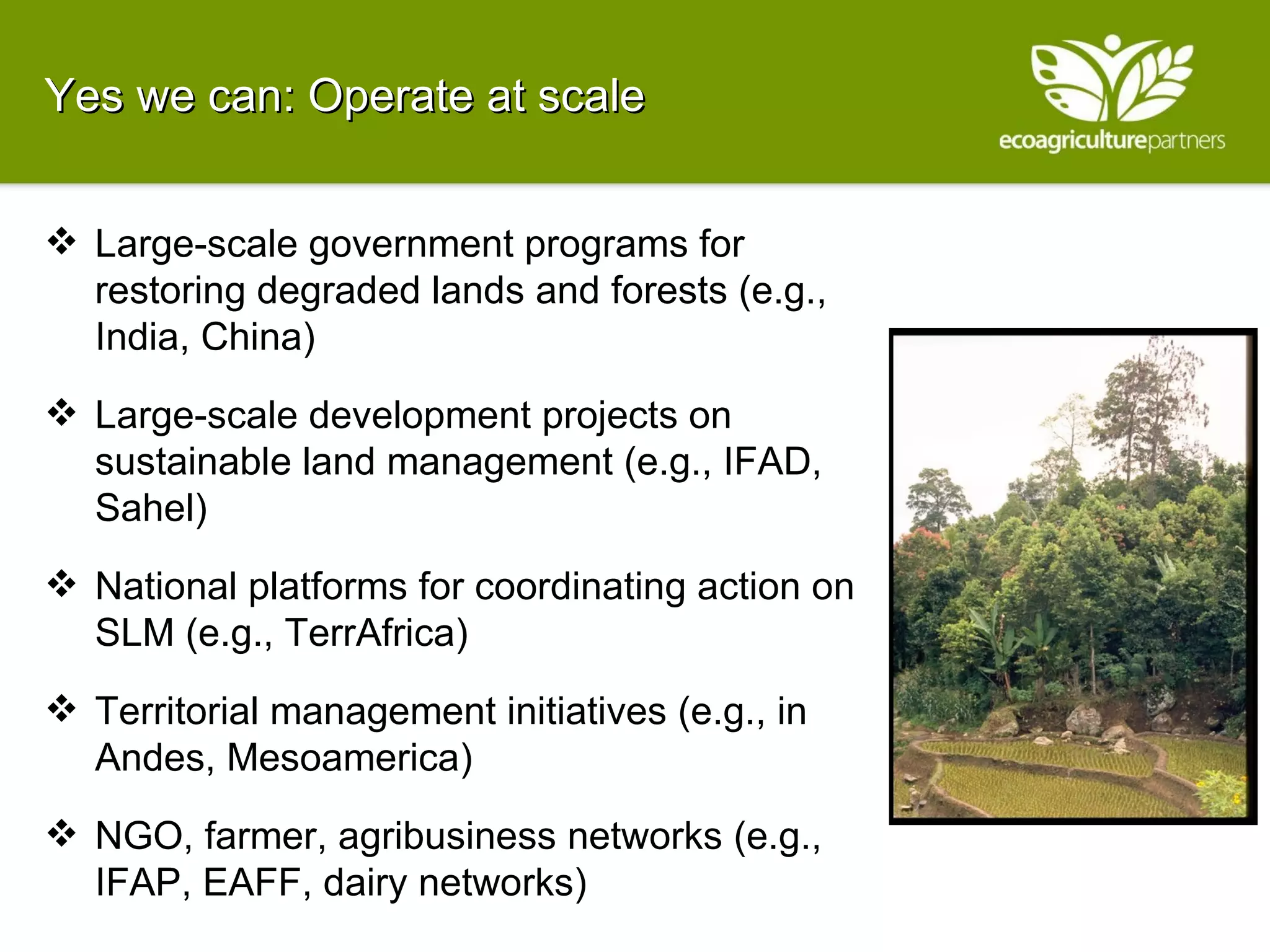 Yes we can: Operate at scale  Large-scale government programs for restoring degraded lands and forests (e.g., India, China) Large-scale development projects on sustainable land management (e.g., IFAD, Sahel) National platforms for coordinating action on SLM (e.g., TerrAfrica) Territorial management initiatives (e.g., in Andes, Mesoamerica) NGO, farmer, agribusiness networks (e.g., IFAP, EAFF, dairy networks) 