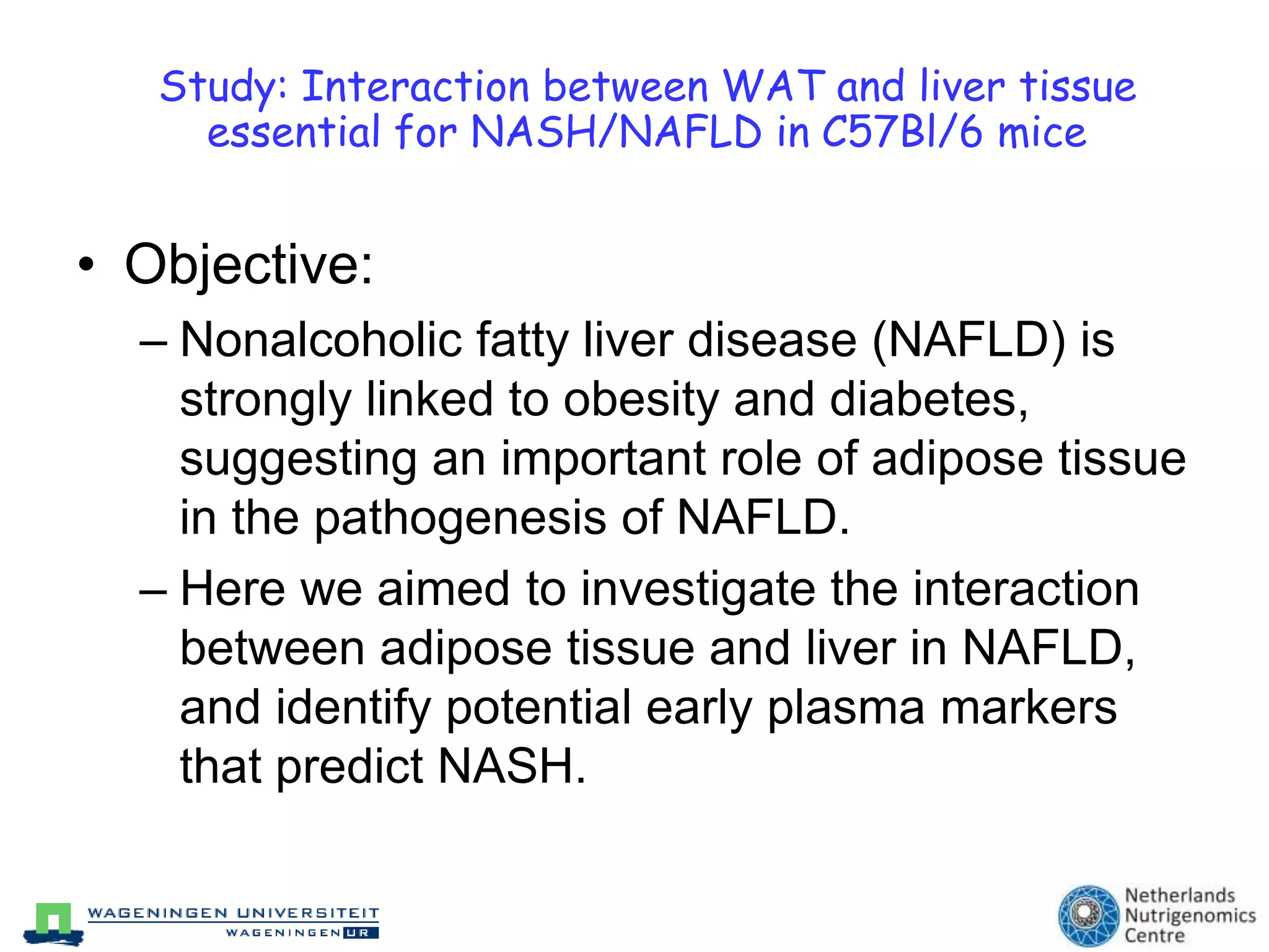 Different stages in NAFLD progression: