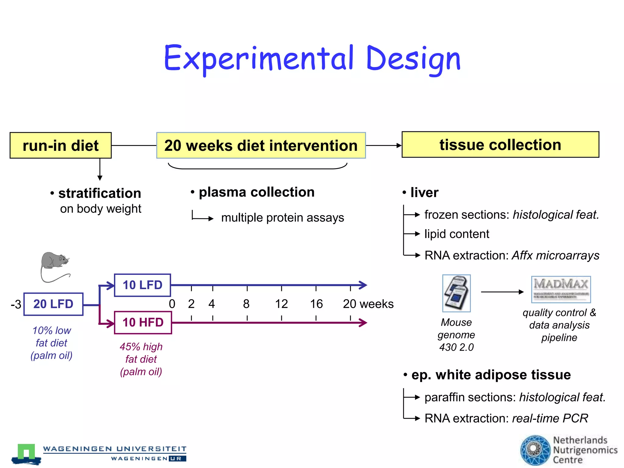 Molecular events involved in NASH pathogenesis: