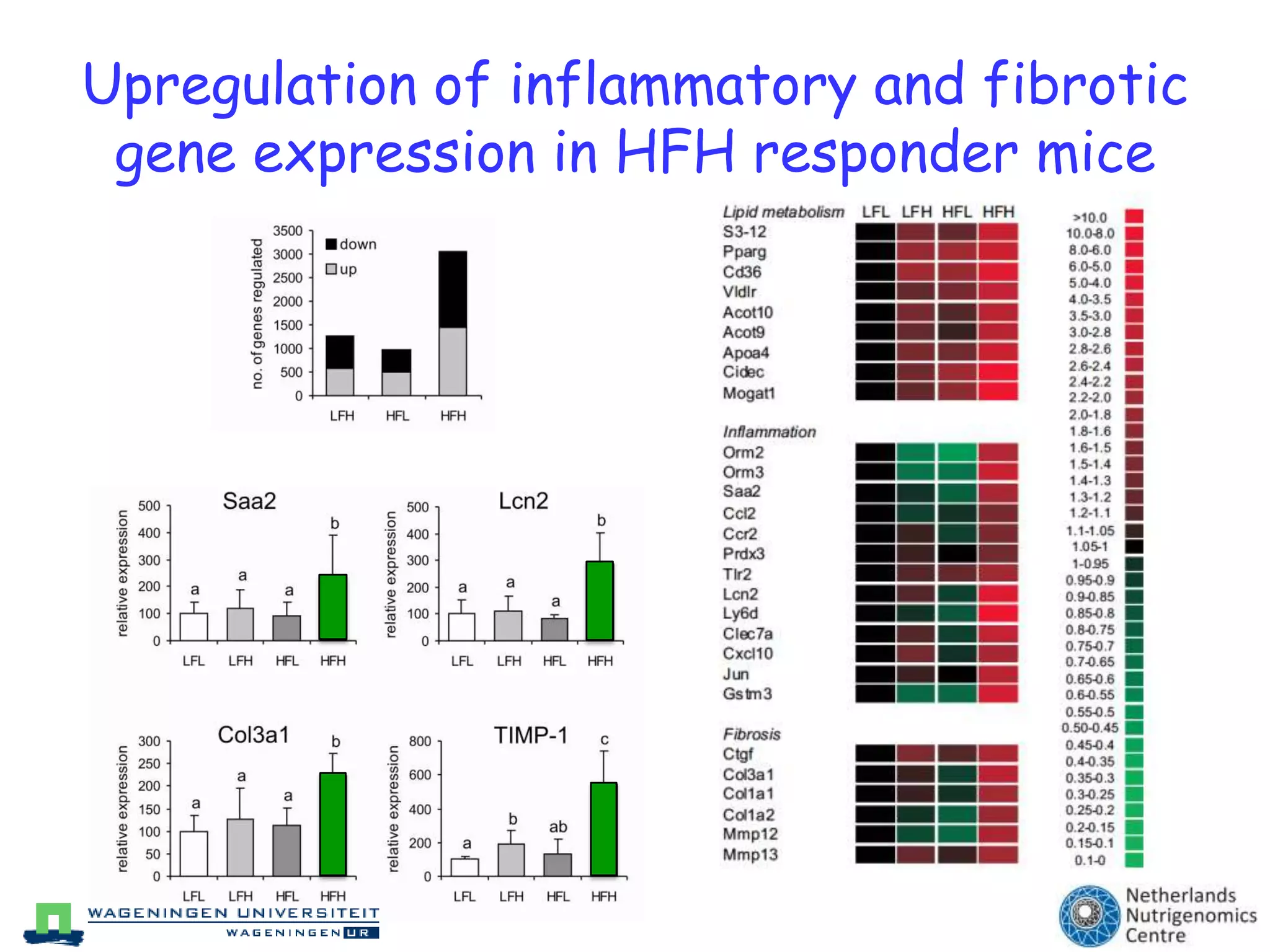 Study: Interaction between WAT and liver tissue essential for NASH/NAFLD in C57Bl/6 miceObjective: Nonalcoholic fatty liver disease (NAFLD) is strongly linked to obesity and diabetes, suggesting an important role of adipose tissue in the pathogenesis of NAFLD. Here we aimed to investigate the interaction between adipose tissue and liver in NAFLD, and identify potential early plasma markers that predict NASH. 