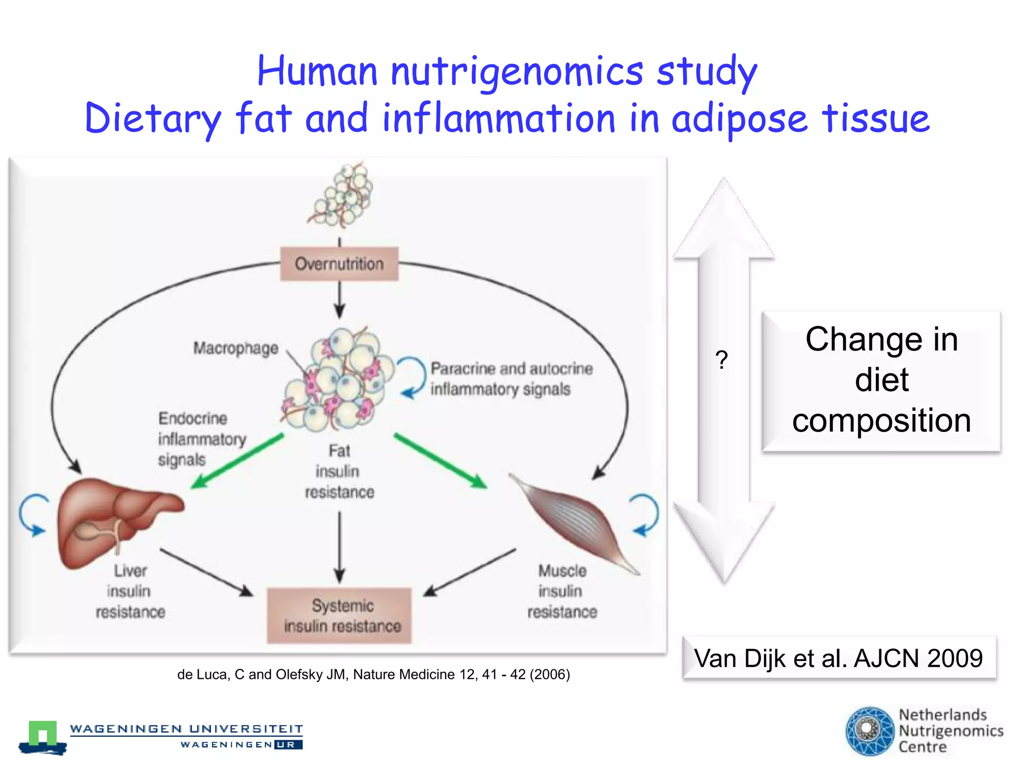 Adipose dysfunction in HFH mice