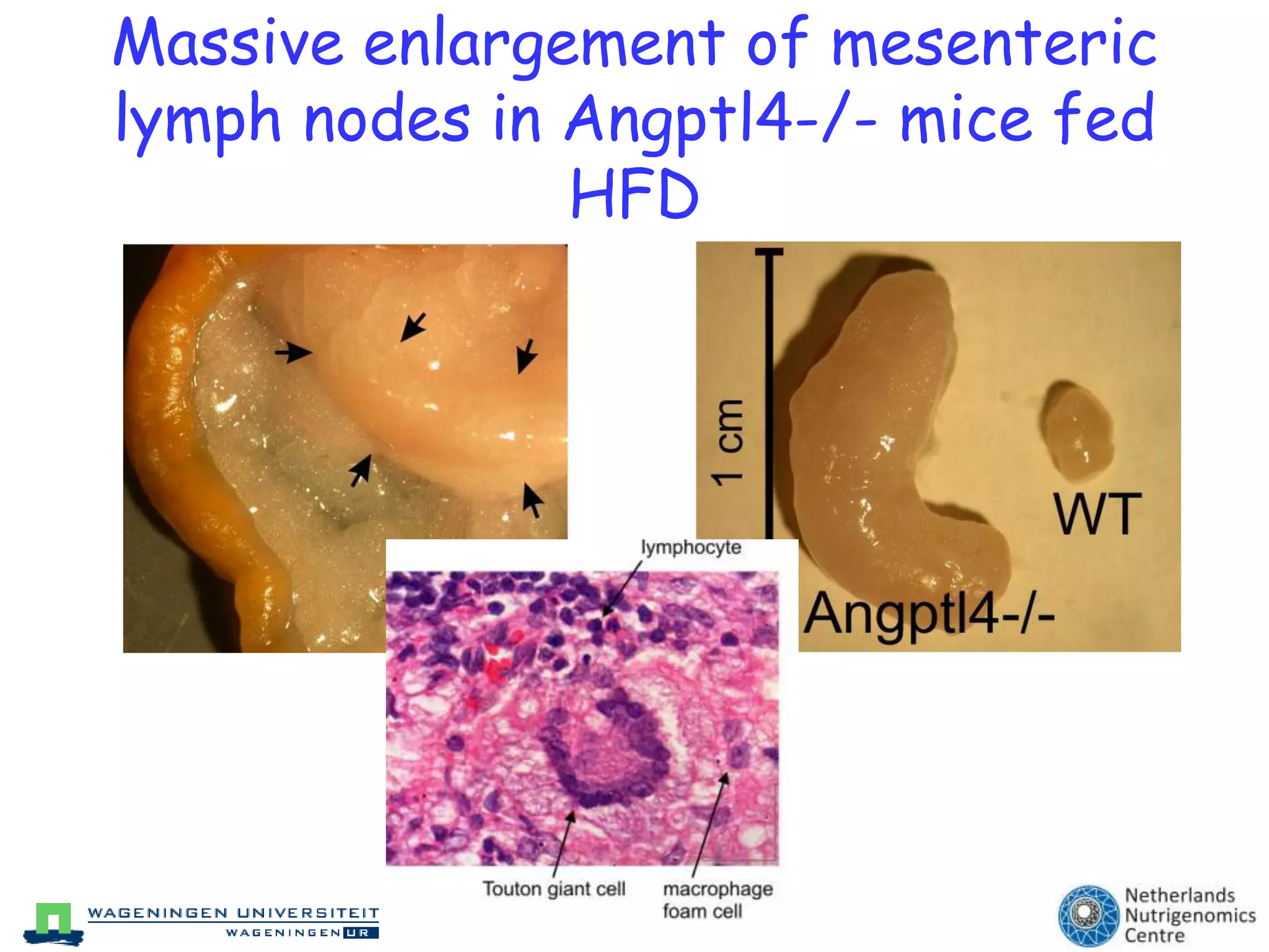  Blood samplingVan Dijk et al. AJCN 2009