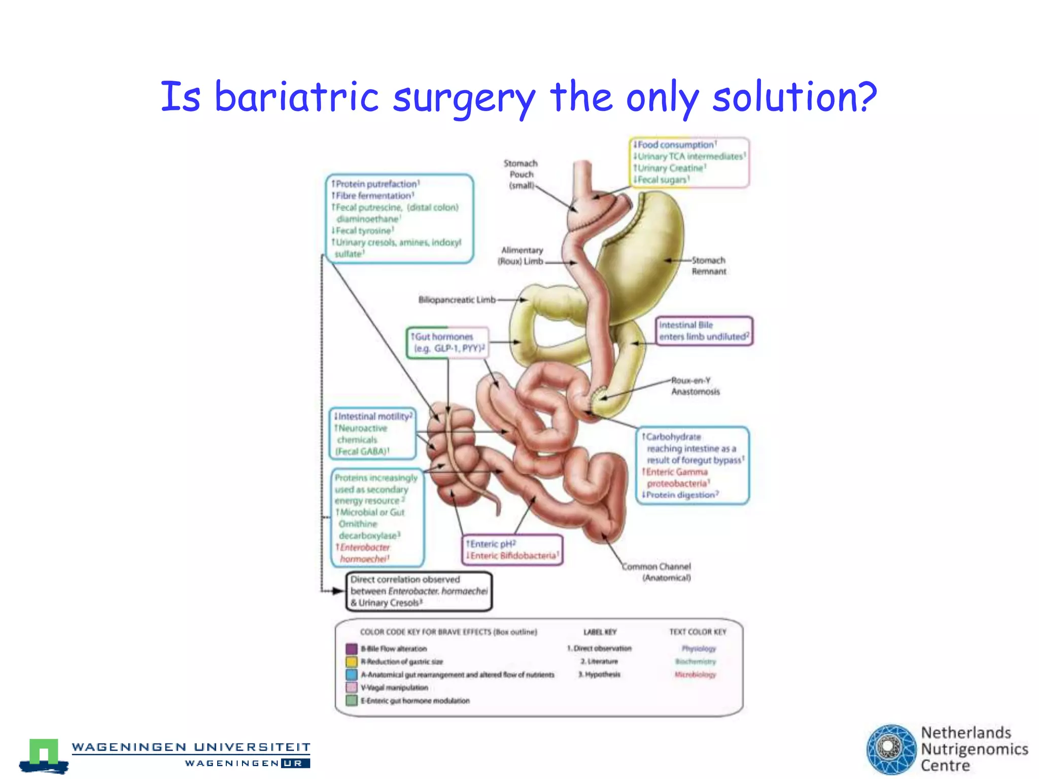 MeasurementsRulesBasedMedicine (Austin, USA)Multiplex immunoassayIn total 124 proteinsmeasuredInvolved in diseases, inflammation, endothelialfunction and metabolism. PLoS One. 2010 Dec 23;5(12):e14422 