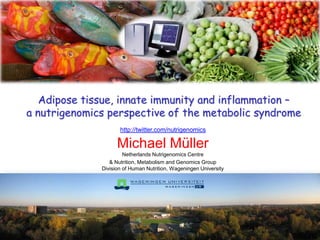 Adipose tissue, innate immunity and inflammation – a nutrigenomics perspective of the metabolic syndrome http://twitter.com/nutrigenomics Michael MüllerNetherlands Nutrigenomics Centre & Nutrition, Metabolism and Genomics GroupDivision of Human Nutrition, Wageningen University 