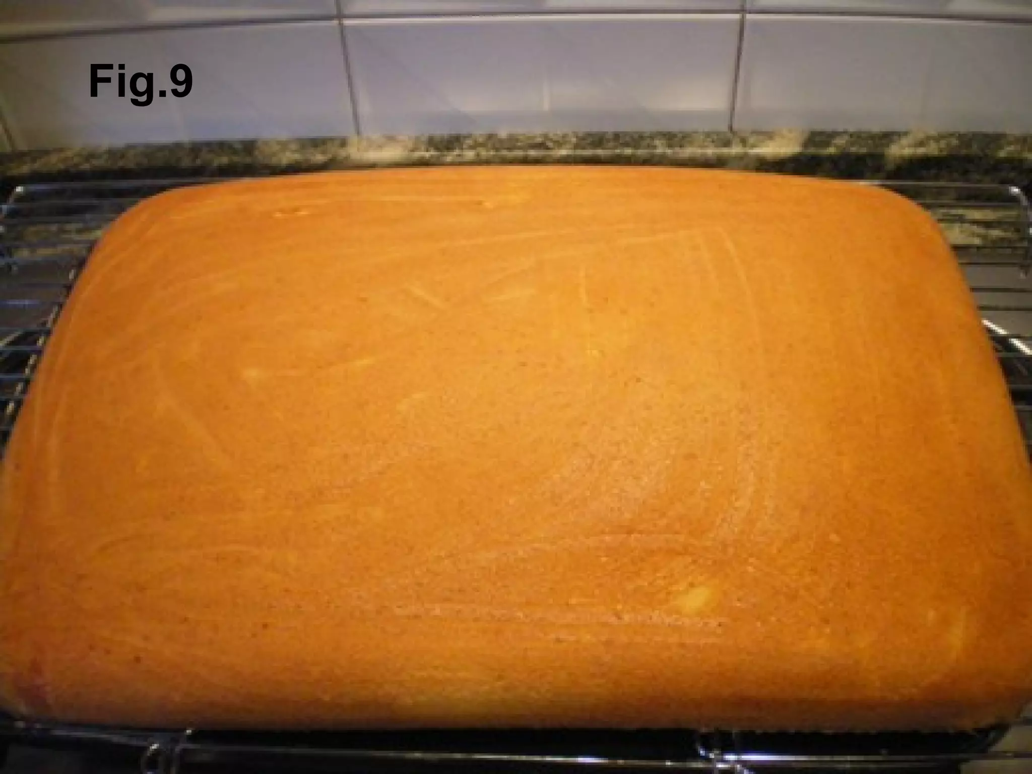Fig.9