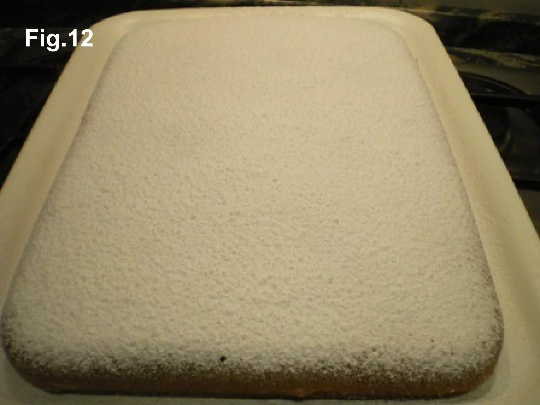 Fig.12
