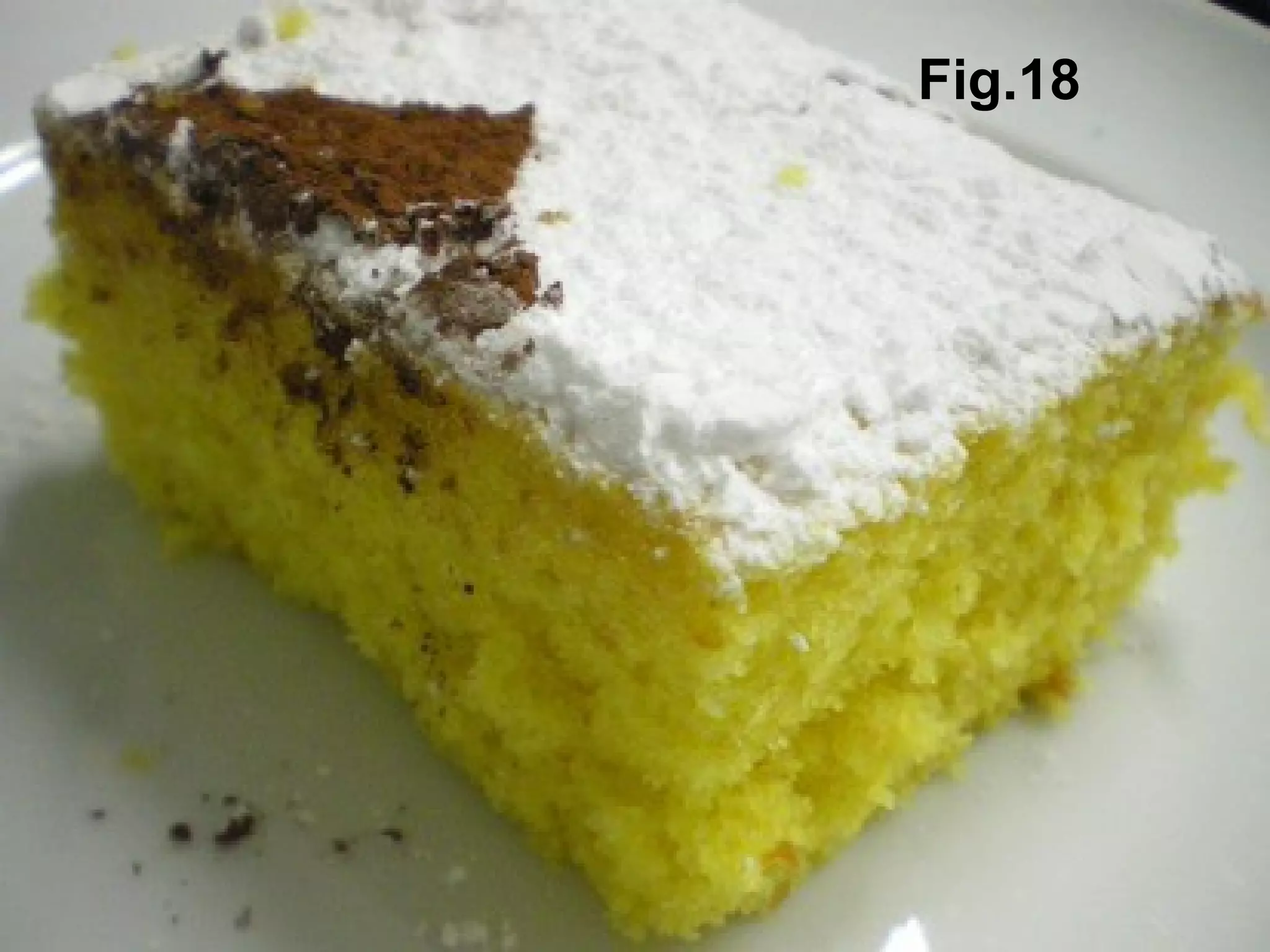 Fig.18