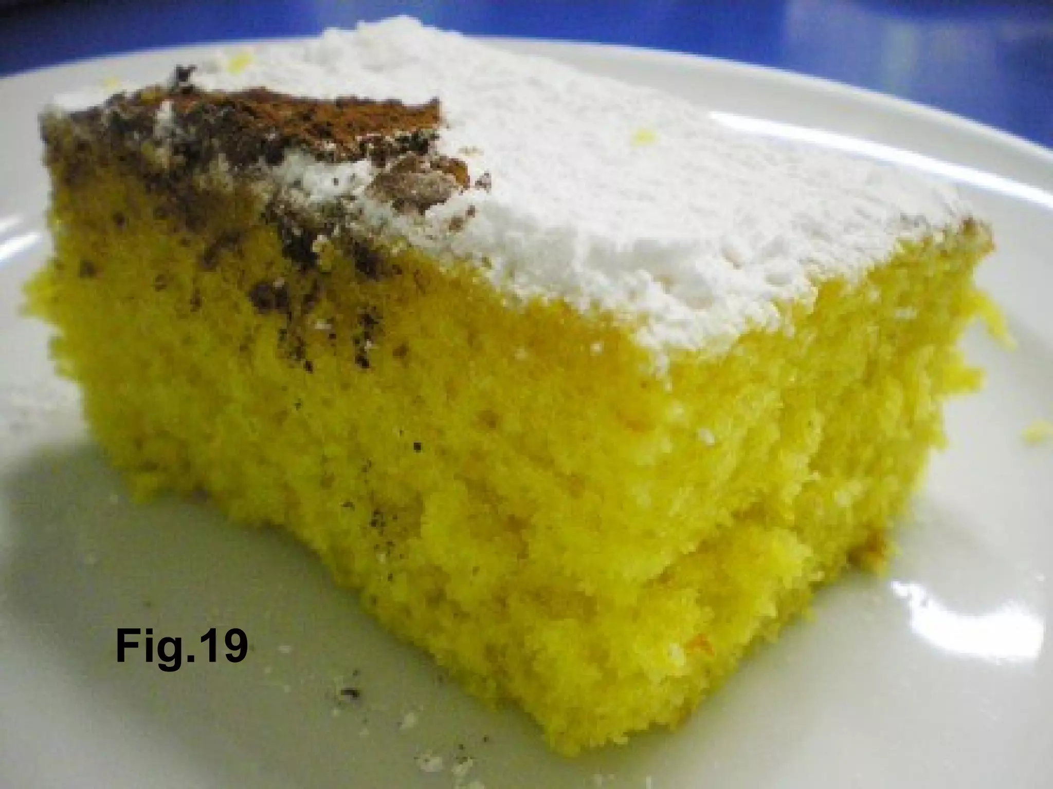 Fig.19