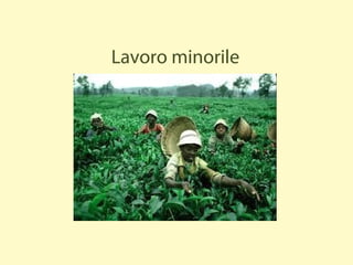 Lavoro minorile
 
