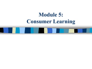 Module 5:
Consumer Learning
 