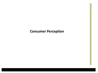 Consumer Perception
 