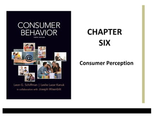 CHAPTER
    SIX

Consumer Perception
 