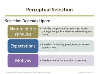 Perceptual Selection
Selection Depends Upon:




Copyright 2010 Pearson Education, Inc. Publishing as Prentice Hall   Chap...
