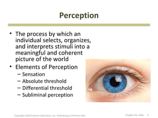 Perception

• The process by which an
  individual selects, organizes,
  and interprets stimuli into a
  meaningful and co...