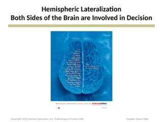 Hemispheric Lateralization
Both Sides of the Brain are Involved in Decision
Copyright 2010 Pearson Education, Inc. Publishing as Prentice Hall Chapter Seven Slide
 