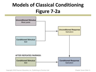 Models of Classical Conditioning
                   Figure 7-2a




Copyright 2010 Pearson Education, Inc. Publishing as P...