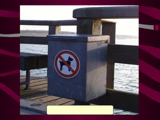 Oder wer entsorgt hier seinen Hund...??? 