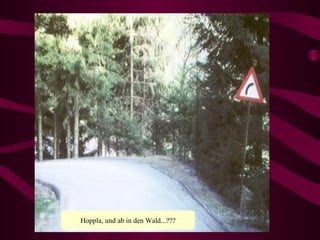 Hoppla, und ab in den Wald...??? 