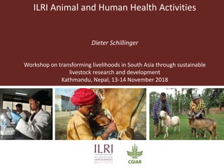 ILRI Animal and Human Health Activities
Dieter Schillinger
Workshop on transforming livelihoods in South Asia through sustainable
livestock research and development
Kathmandu, Nepal, 13-14 November 2018
 
