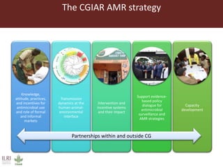 ILRI Animal and Human Health activities