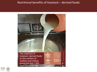 ILRI Animal and Human Health activities