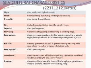 SILVICULTURAL CHARACTERISTICS
(221112121katus)
Light It is a moderately light demander.
Frost: It is moderately frost hardy, seedlings are sensitive.
Drought: It is a strong drought hardy.
Fire: It is fairly resistant to fire from the age of 5 years.
Coppice: It is a good coppicer.
Browsing: It is sensitive to grazing and browsing in seedling stage.
Tree nature: It is an evergreen, medium-sized to large tree growing to 47m in
height; bole cylindrical, branchless for up to 125 (max. 250) cm
Soil/Ph: It mostly grows on basic soil. It grows naturally on a very wide
range of soil types, but prefers well-drained soils.
Root system: It has tap root system.
Associates: It is often associated with Castonopsis spp., sometime associated
with Pinus roxburghii and Shorea robusta.
Disease: It is susceptible to attack by borers (Trachylophus approximator),
timber is prone to attack by wood-rotting fungi.
 