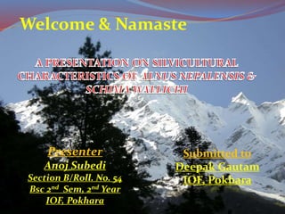 Presenter
Anoj Subedi
Section B/Roll. No. 54
Bsc 2nd Sem, 2nd Year
IOF, Pokhara
Welcome & Namaste
Submitted to
Deepak Gautam
IOF, Pokhara
 