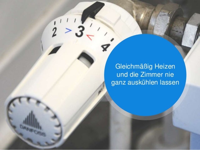 Schimmel in der Wohnung! Was soll ich jetzt tun?