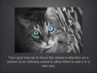 Your goal may be to focus the viewer’s attention on a
portion of an ordinary scene to allow them to see it in a
                        new way.
 