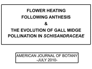 FLOWER HEATING
     FOLLOWING ANTHESIS
              &
 THE EVOLUTION OF GALL MIDGE
POLLINATION IN SCHISANDRACEAE



   AMERICAN JOURNAL OF BOTANY
           -JULY 2010-
 