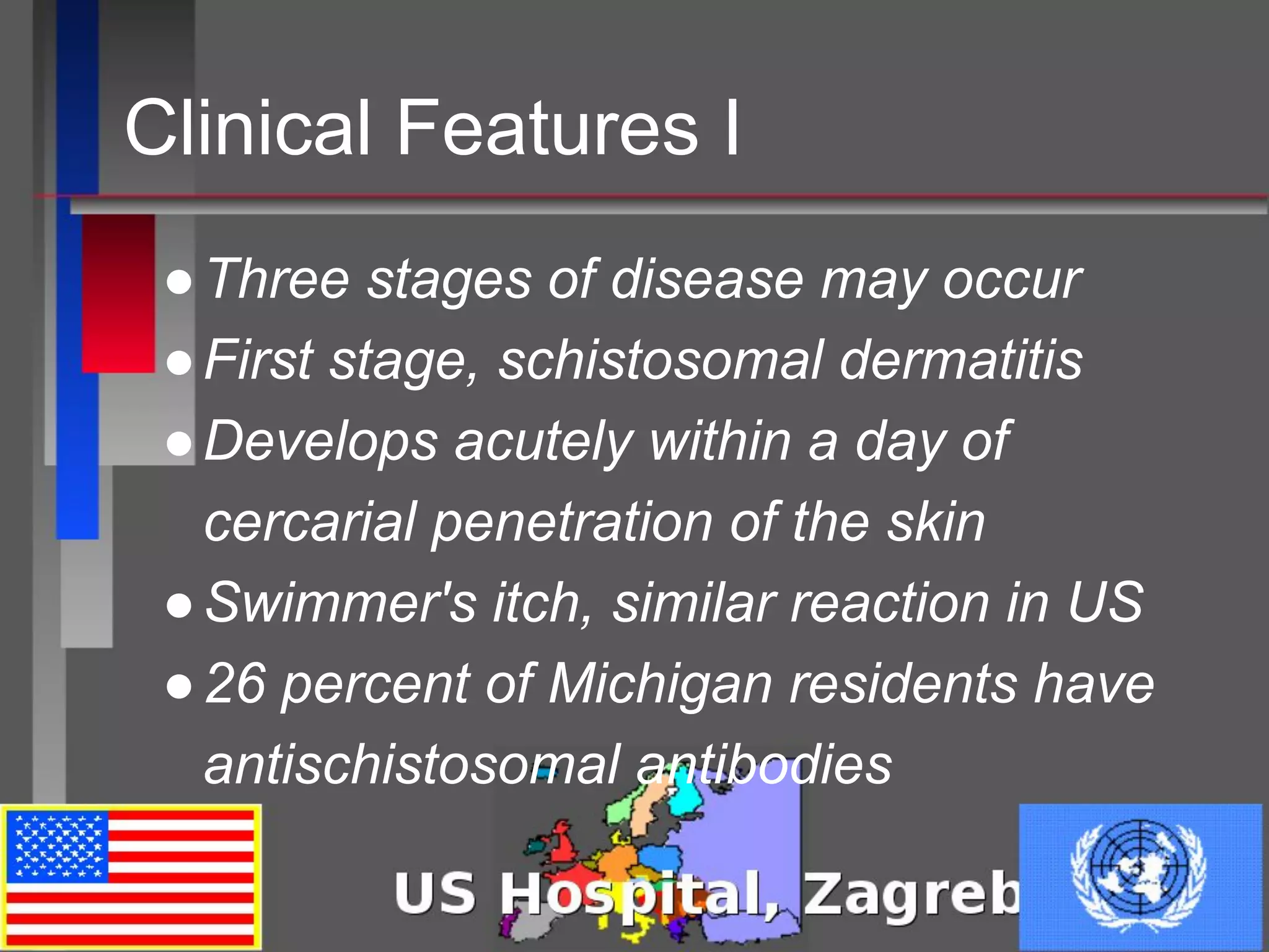 Clinical Features I
●Three stages of disease may occur
●First stage, schistosomal dermatitis
●Develops acutely within a day of
cercarial penetration of the skin
●Swimmer's itch, similar reaction in US
●26 percent of Michigan residents have
antischistosomal antibodies
 